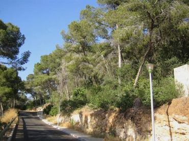 Terreno residencial en venta en Portals Nous