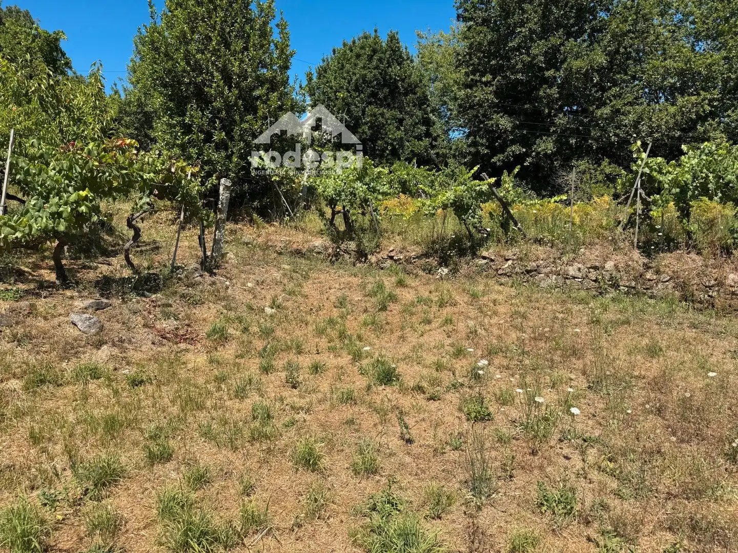 Maison à vendre à Crecente, imagen 16