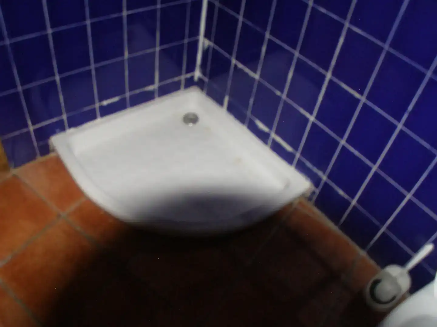 Bany de Local en venda en Benaoján