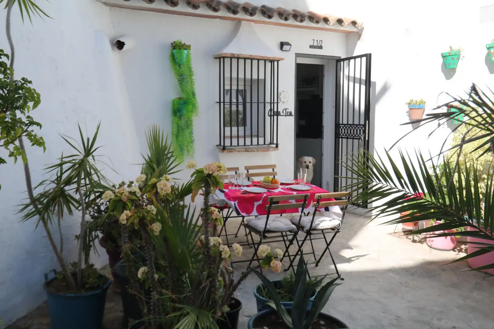 Jardí de Casa o xalet en venda en Vejer de la Frontera amb Terrassa i Traster