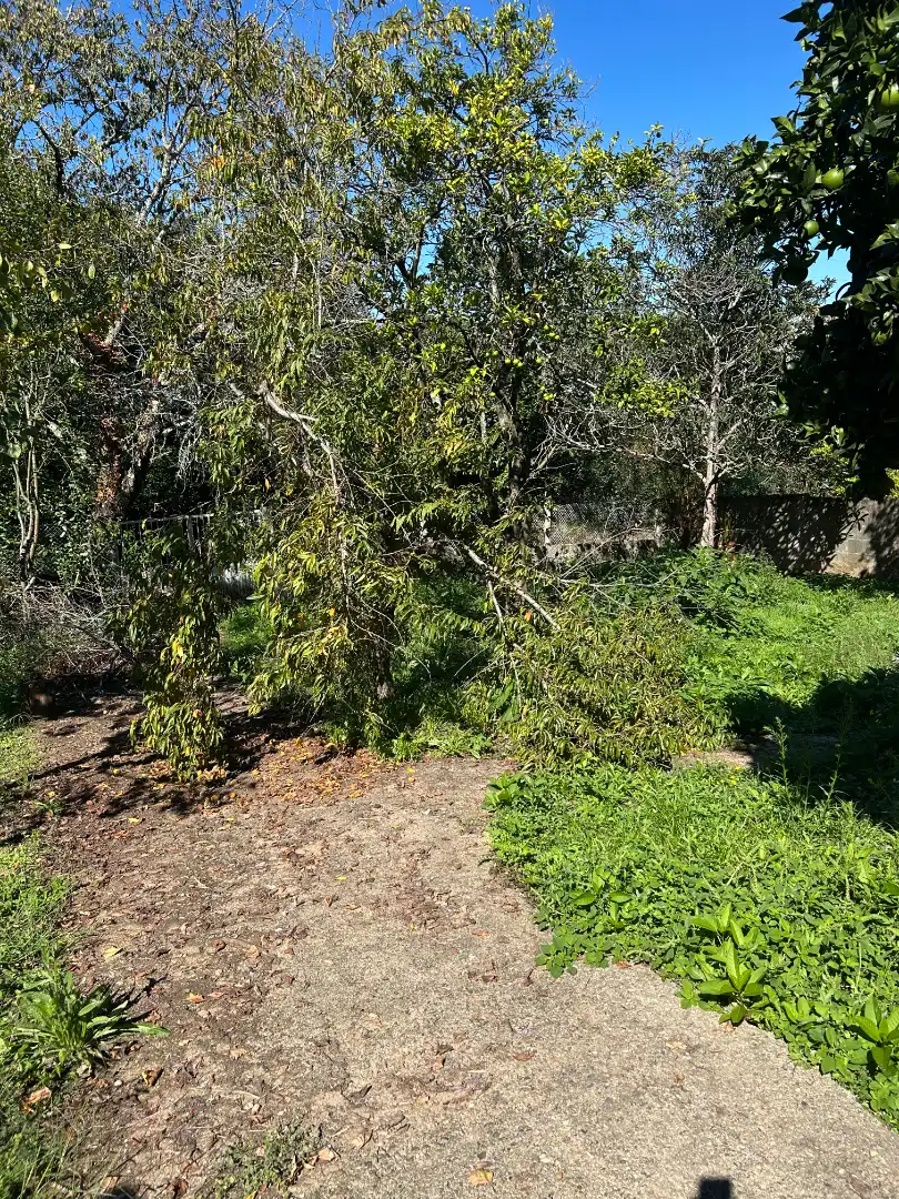 Casa con jardín en venta en Rúa Balde, imagen 29