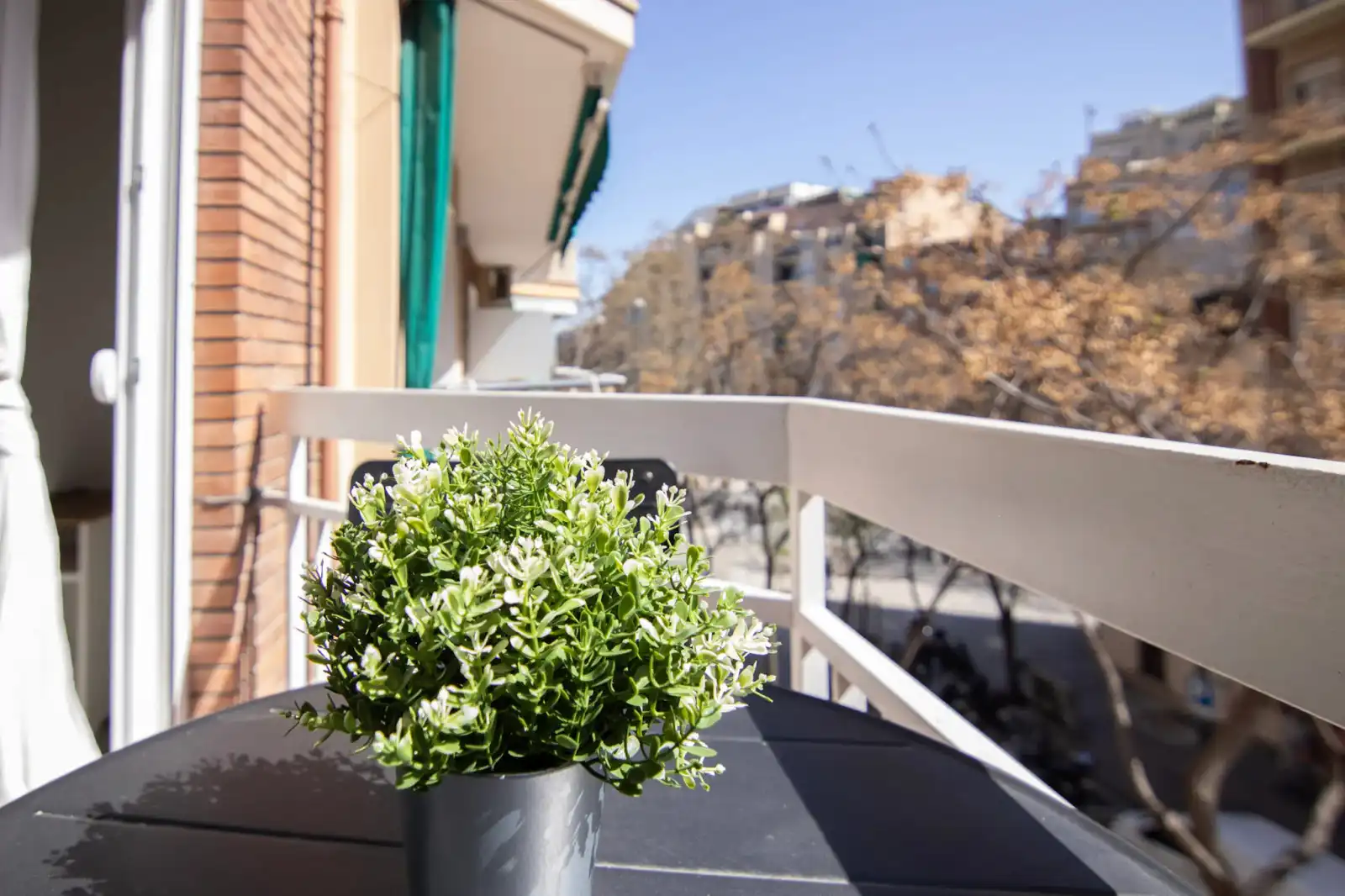Terrassa de Pis de lloguer en Sant Andreu