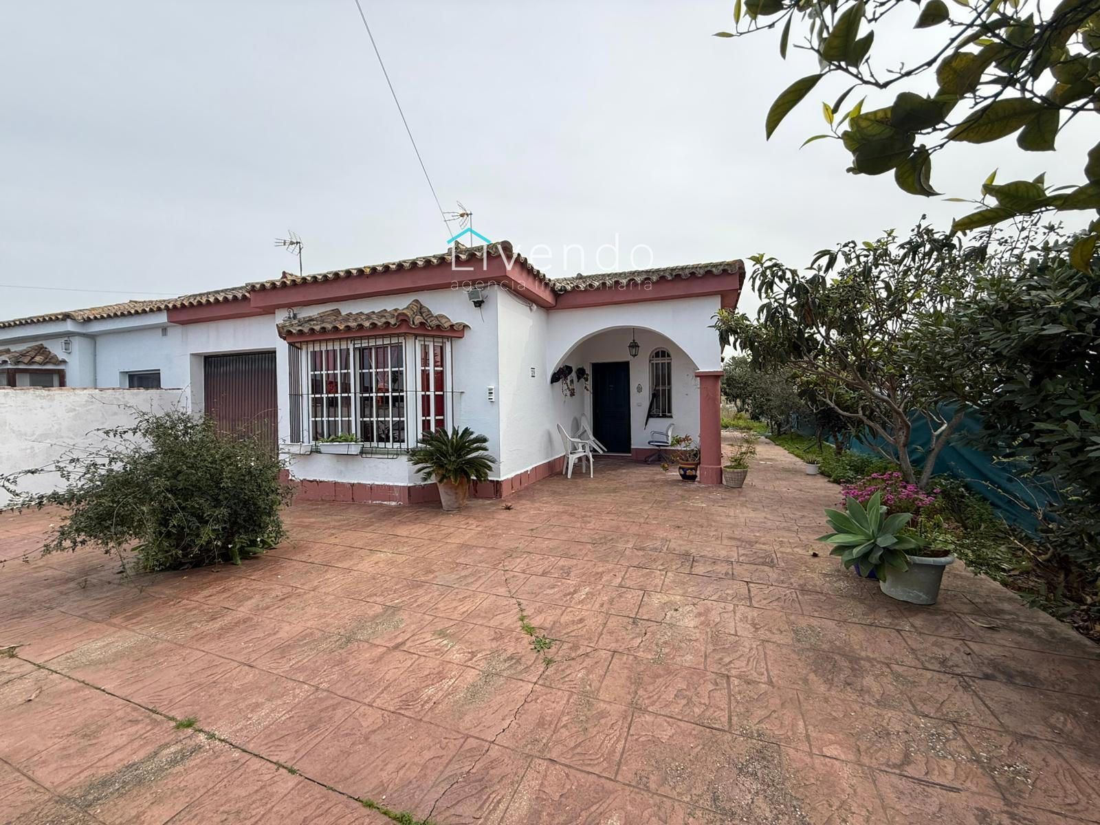 Vista exterior de Casa o chalet en venta en Chiclana de la Frontera