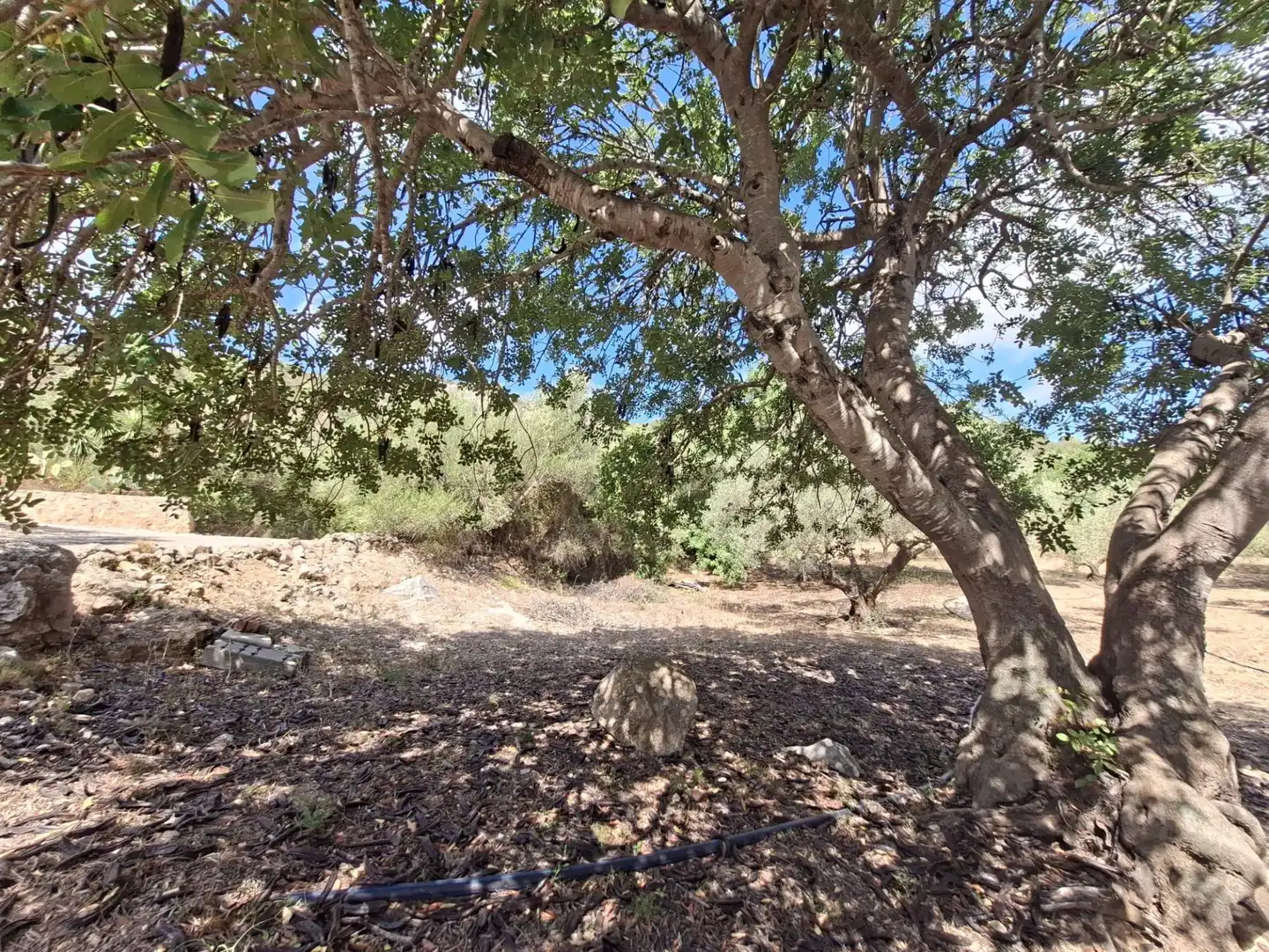 Terreno rustico in vendita a Partida del Mas d'en Civill, imagen 27