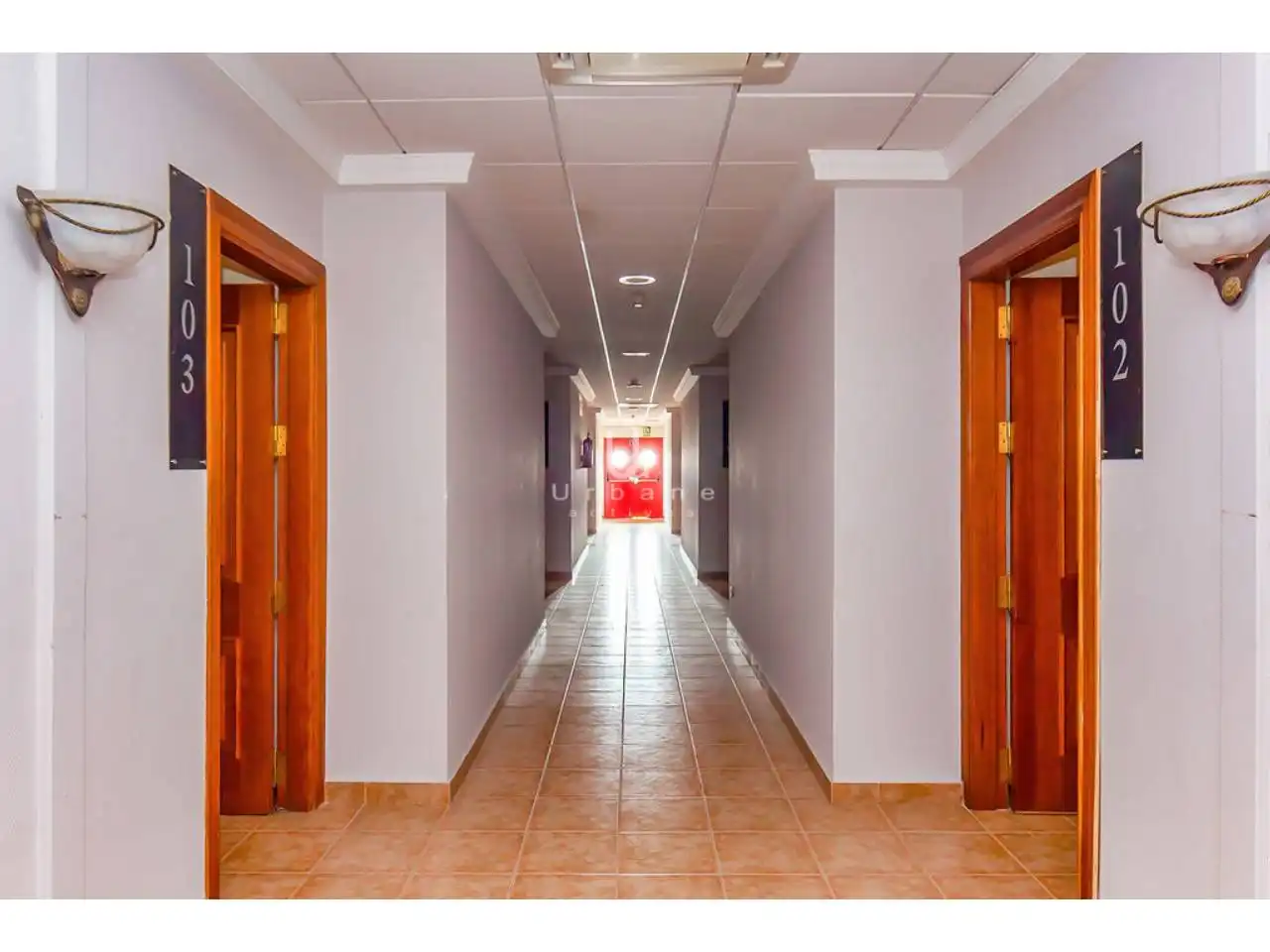 Hotel in vendita a Calle Colón, imagen 11