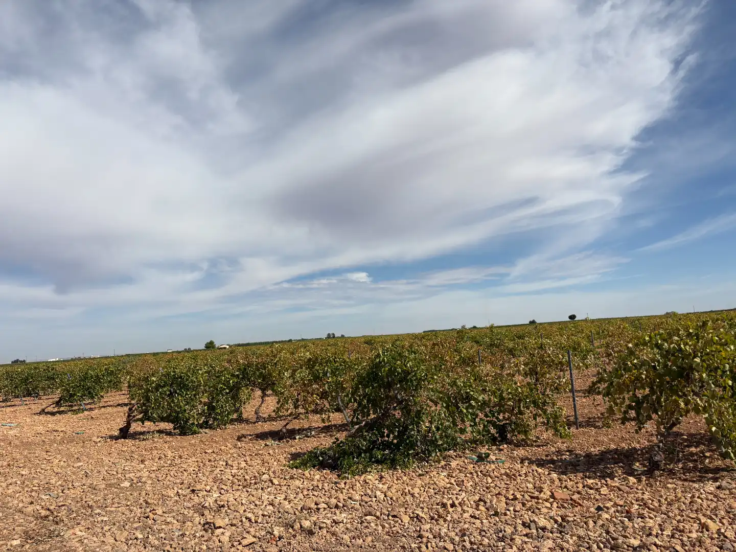 Rural land for sale in CM-400 580, imagen 37