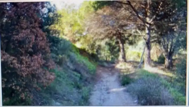 Rural land for sale in Arenys de Munt, imagen 9