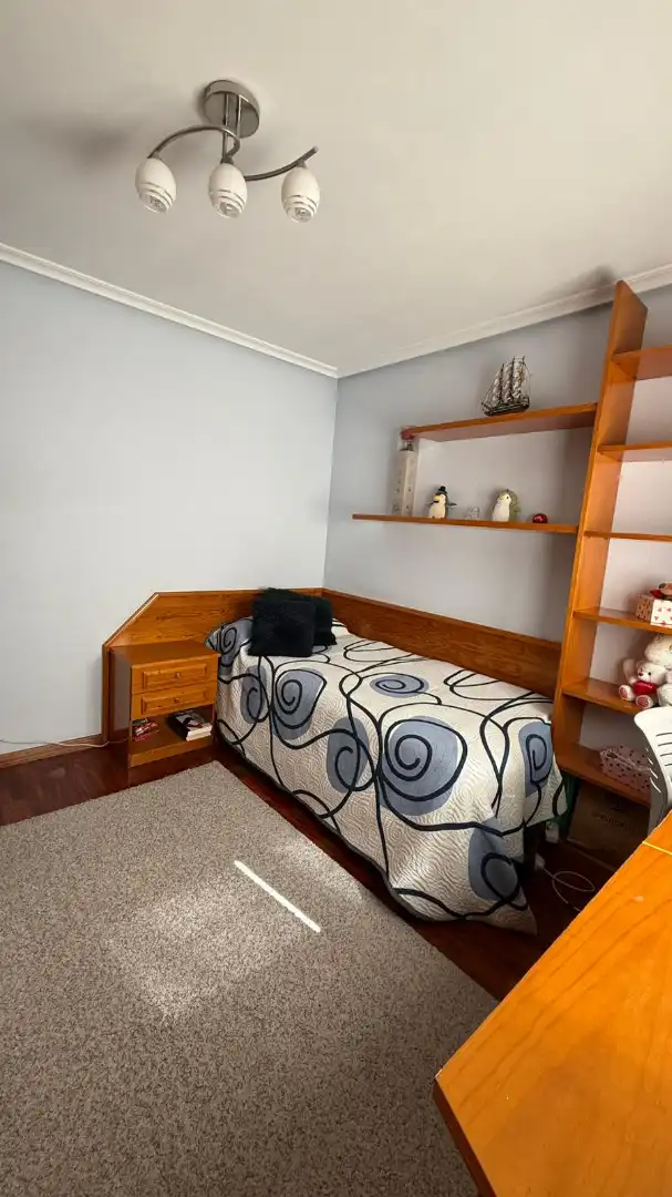 Flat with lift for sale in Capiscol - Gamonal, imagen 15