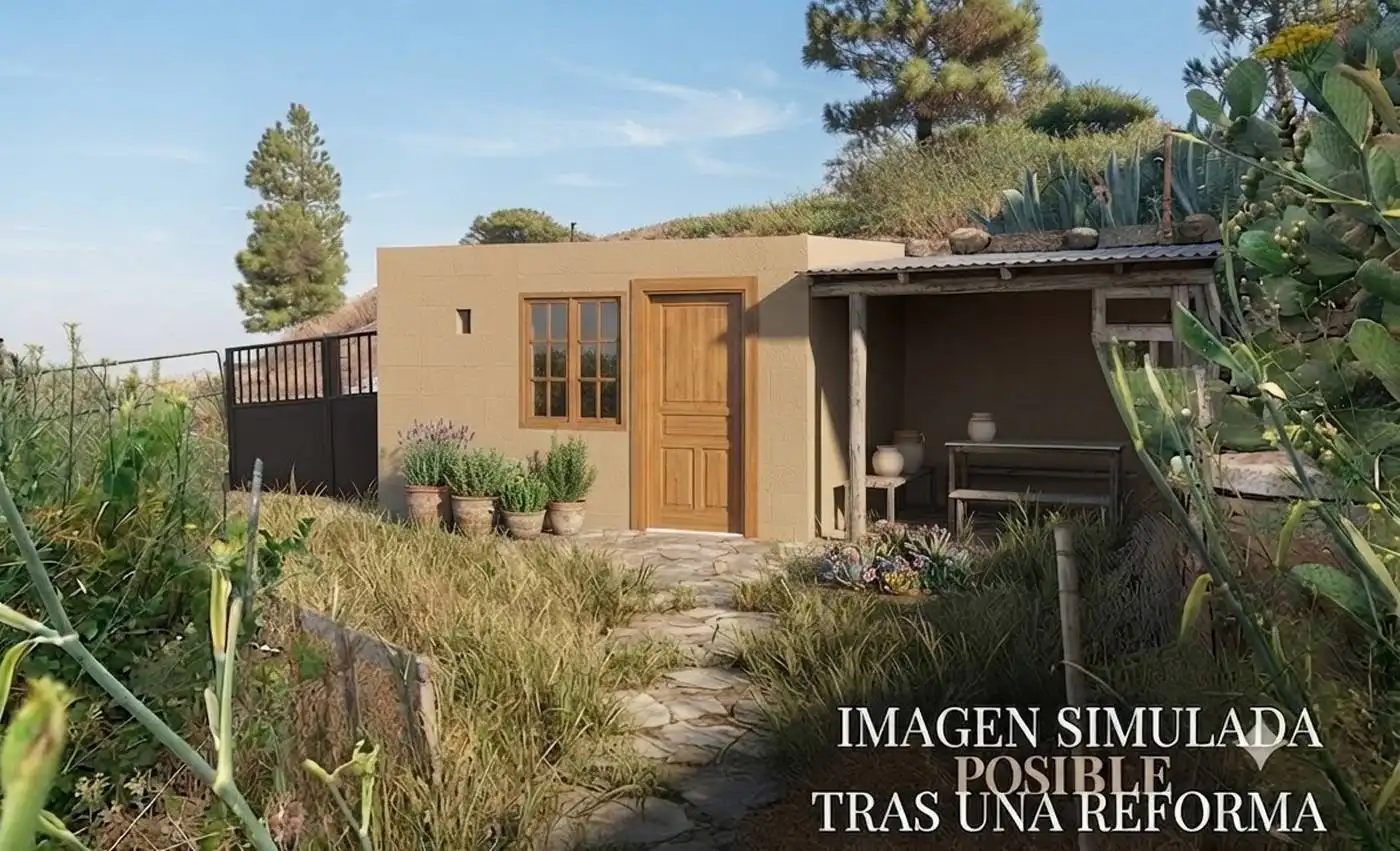 Jardín de Finca rústica en venta en Gáldar con Trastero