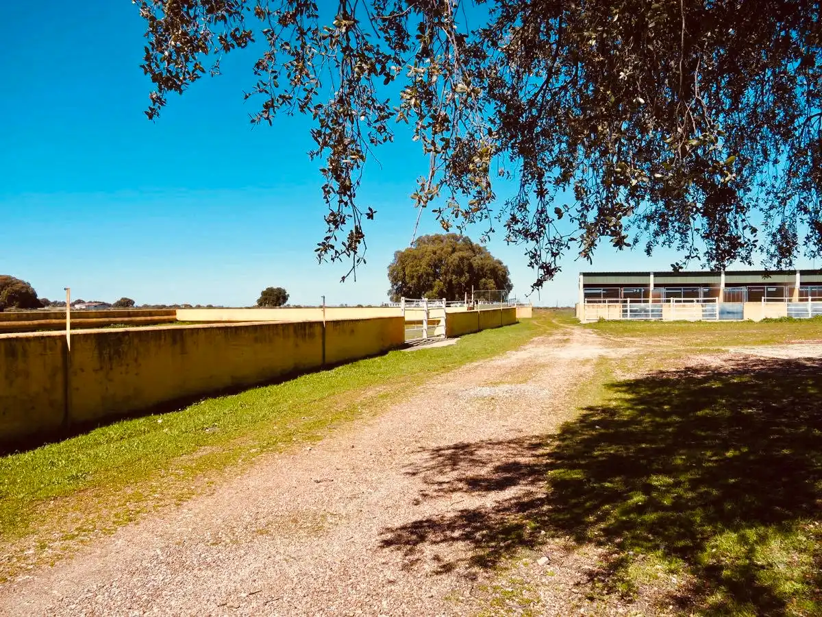 Land for sale in Calle Hernán Cortés, 20, Jaraicejo
