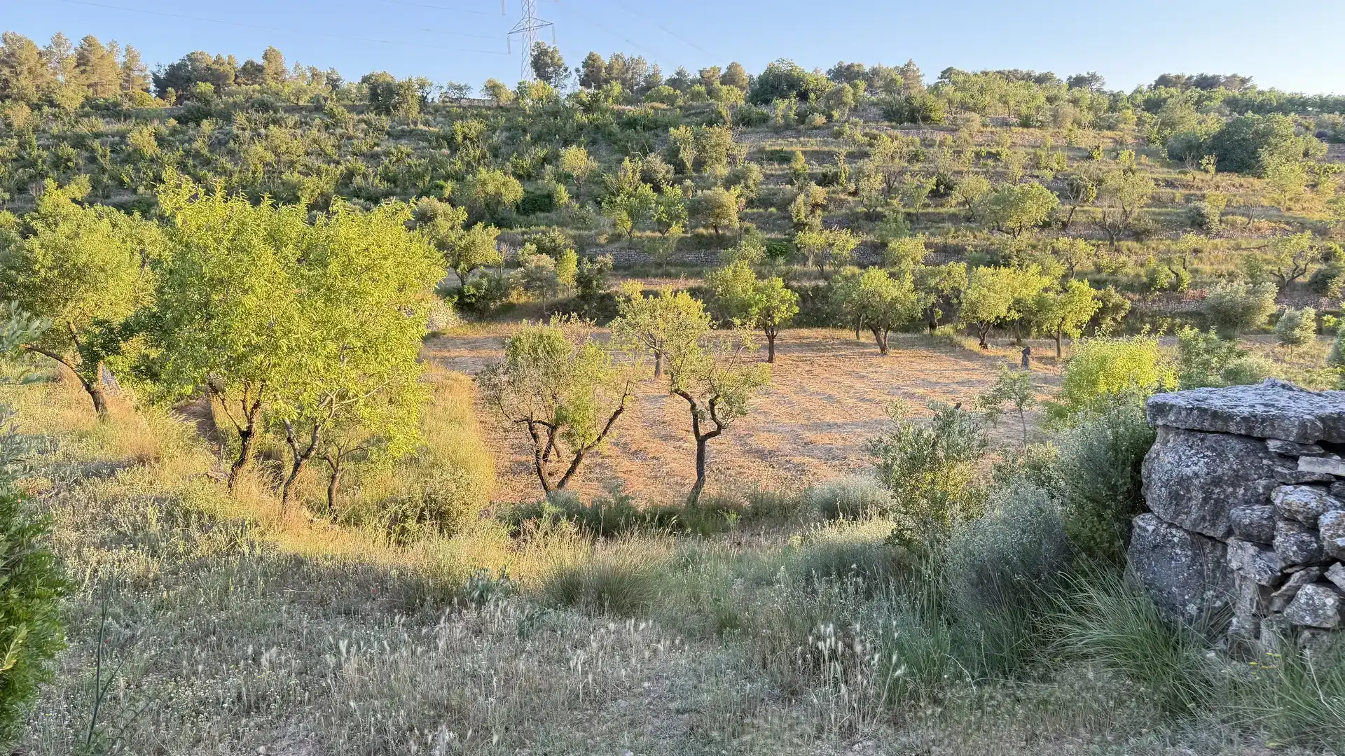 Finca rústica en venda en La Fatarella amb Jardí privat