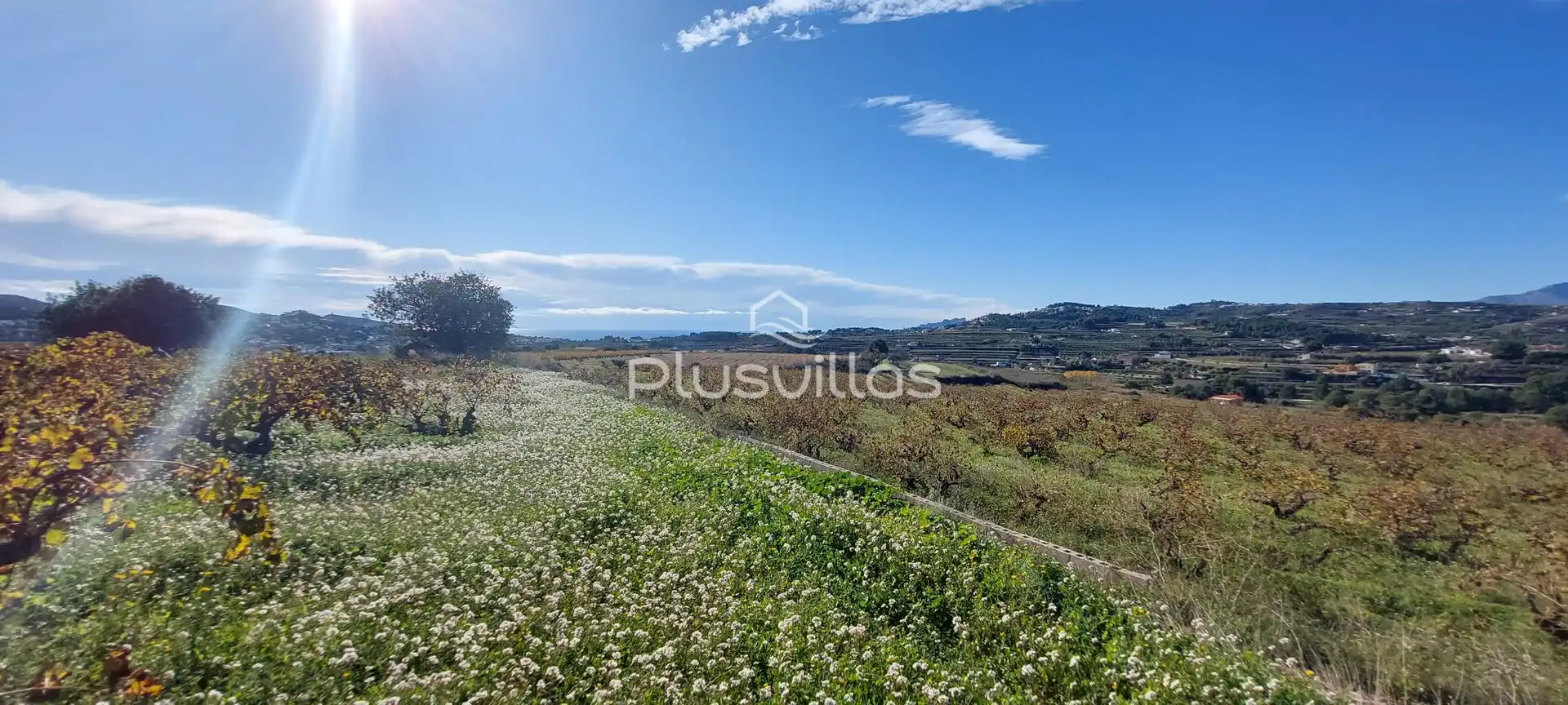 Terrenys i solars en venda a Teulada, imagen 5