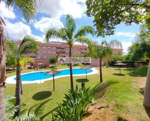 Jardí de Pis en venda en El Puerto de Santa María amb Aire condicionat, Terrassa i Traster