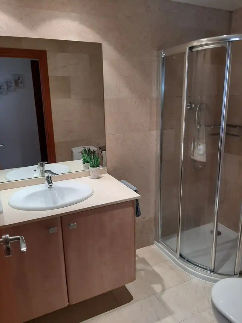 Apartamento de alquiler en Avinguda de Catalunya, Instituts - Universitat