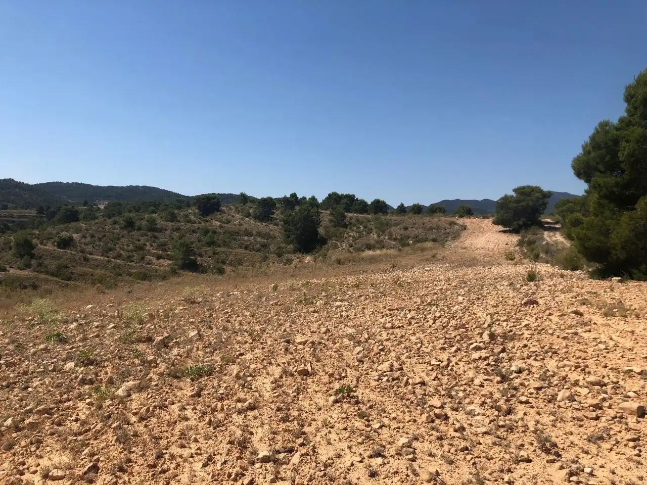Rustikales Grundstück zum Verkauf in Jumilla, imagen 7