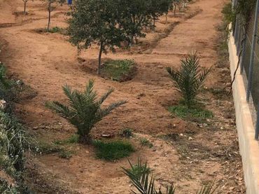 Terrenys i solars en venda a Pl. de la Villa