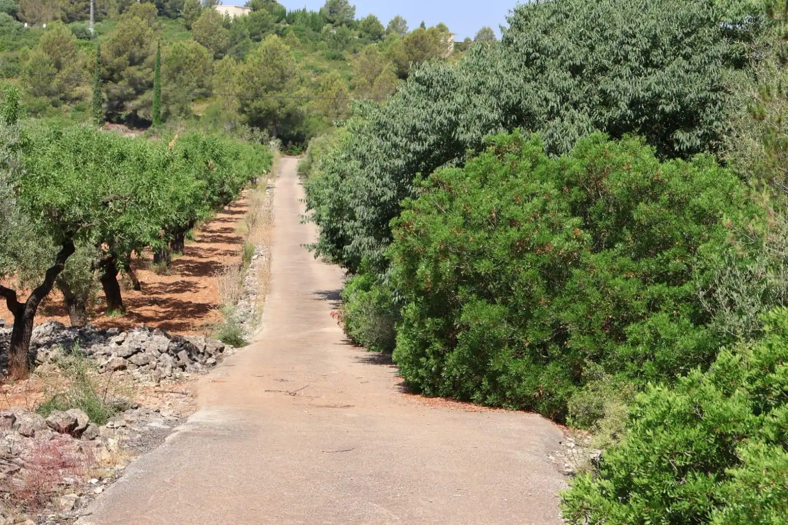 Finca rústica en venda a Vall d'Alba