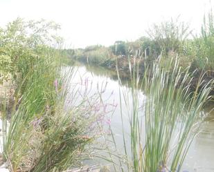 Jardí de Casa o xalet en venda en Xeresa