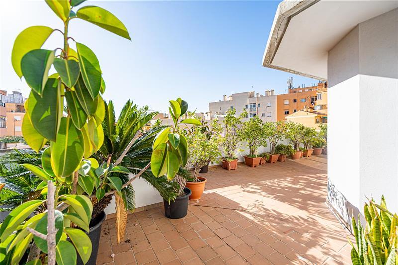 Photo 1 of Attic to rent in Camp d'en Serralta, Illes Balears