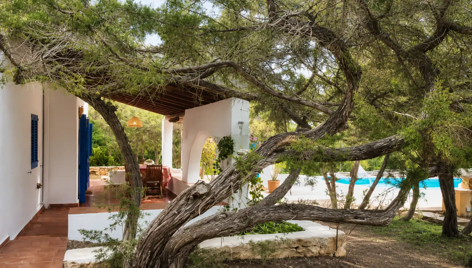 Jardí de Casa o xalet en venda en Formentera amb Piscina