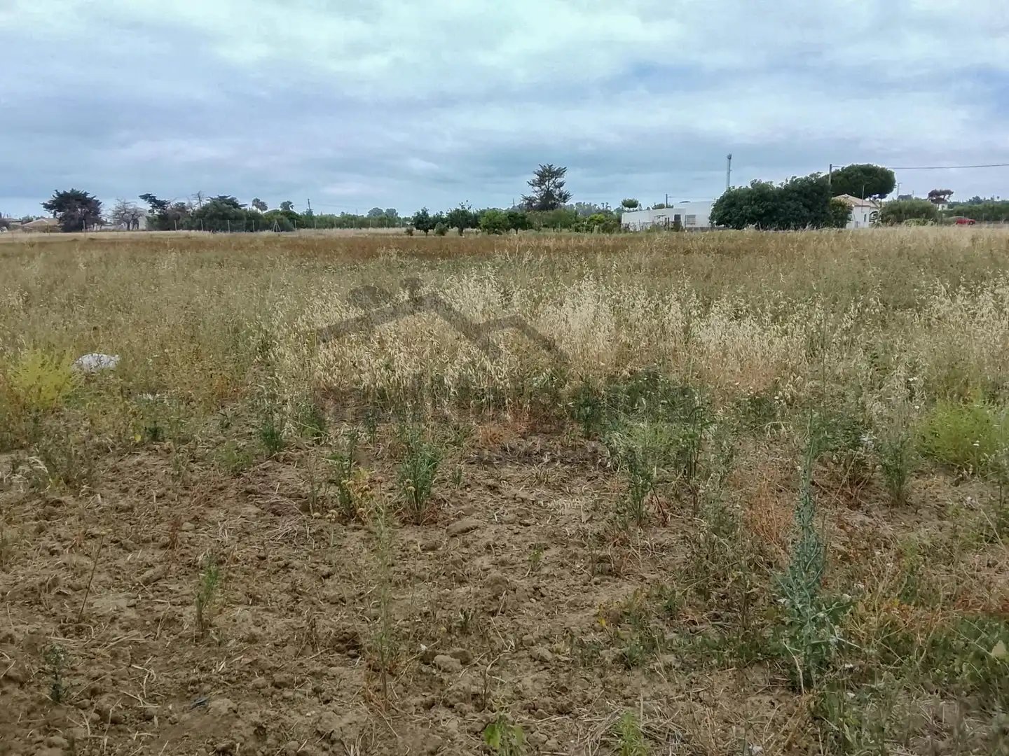 Terreni e lotti in vendita a Chipiona Norte, imagen 4