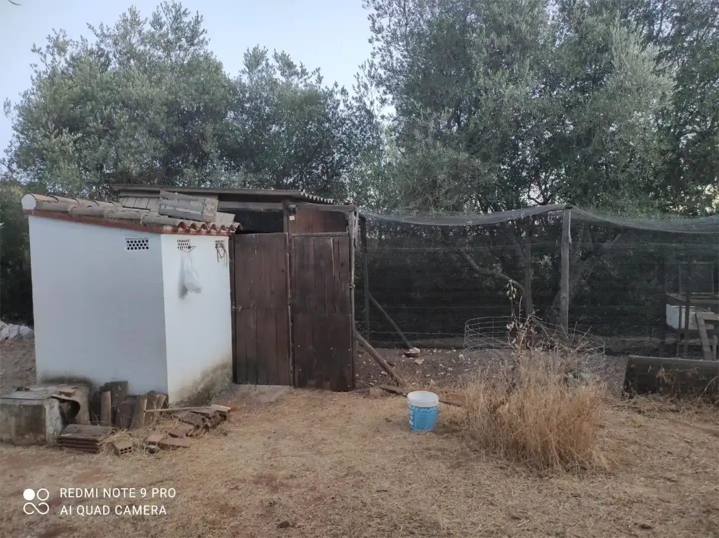 Land for sale in Alanís