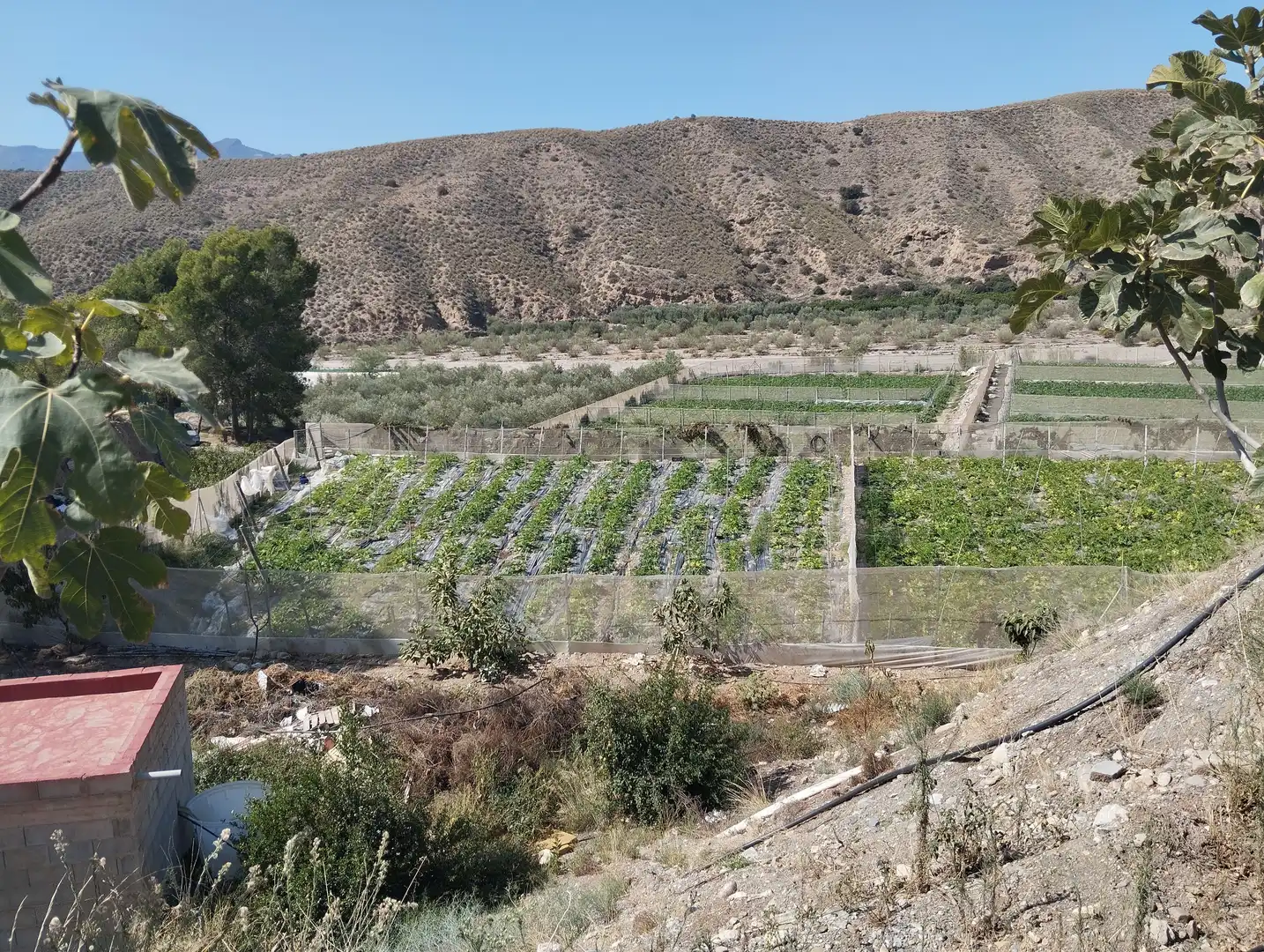 Terreno rustico in vendita a Santa Fe de Mondújar, imagen 6