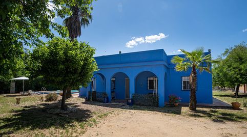 Foto 2 de Casa o chalet en venta en Diseminados, Marchena, Sevilla