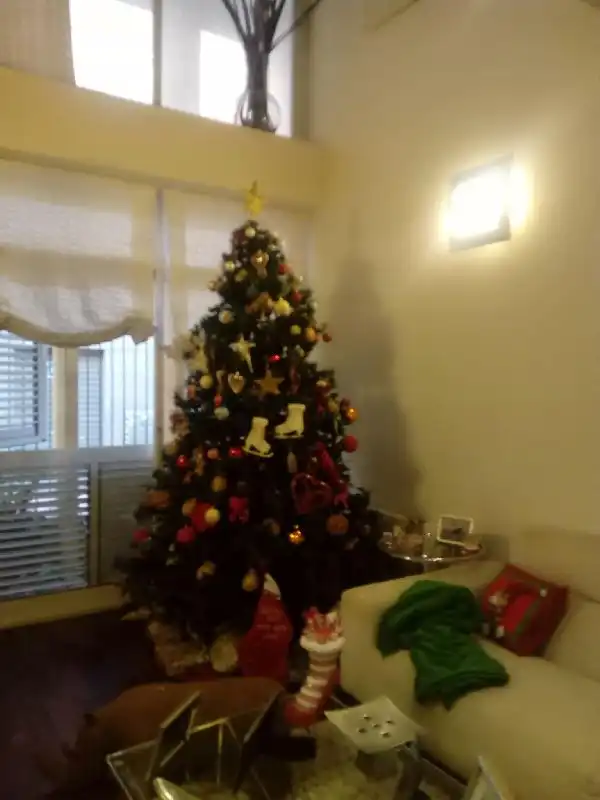 Garden of Duplexes for sale in Elche / Elx  with Air Conditioner, Heating and Parquet flooring