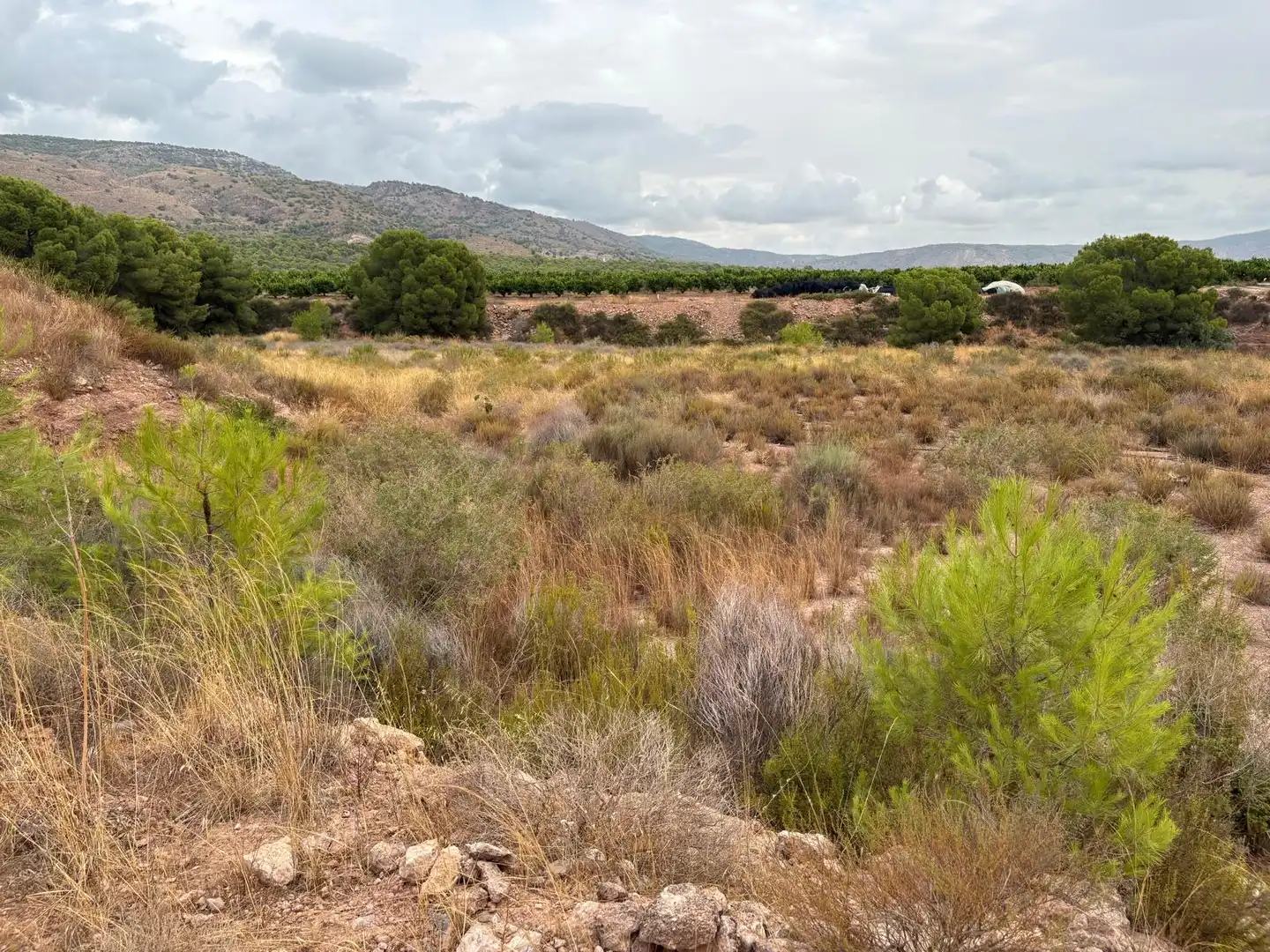 Terreni e lotti in vendita a Alhama de Murcia ciudad, imagen 6