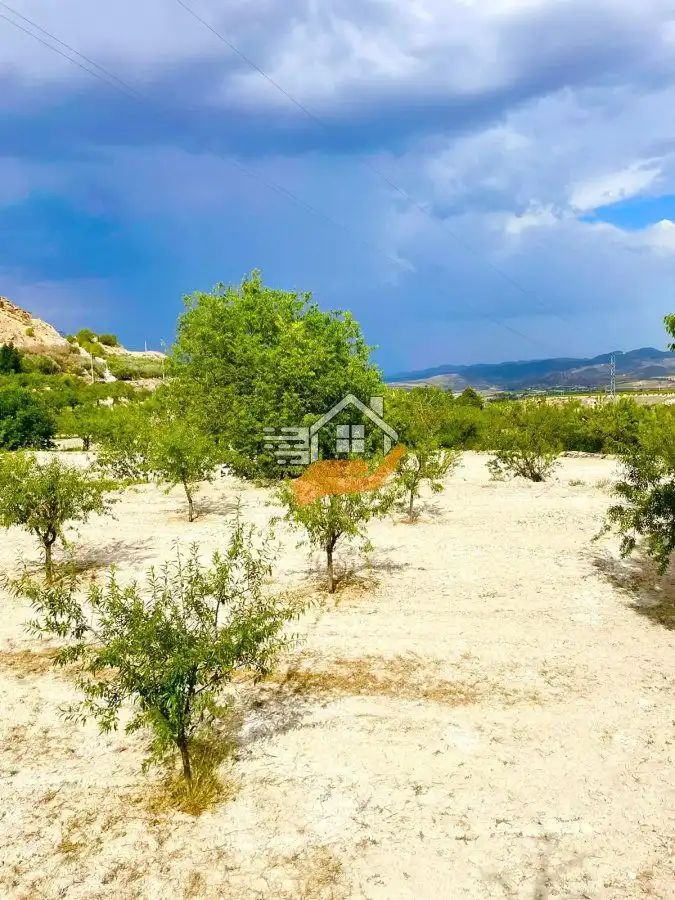 Lands and plots for sale in Vélez-Blanco, imagen 4