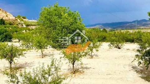 Terreno en venta en VélezBlanco., immagine 4