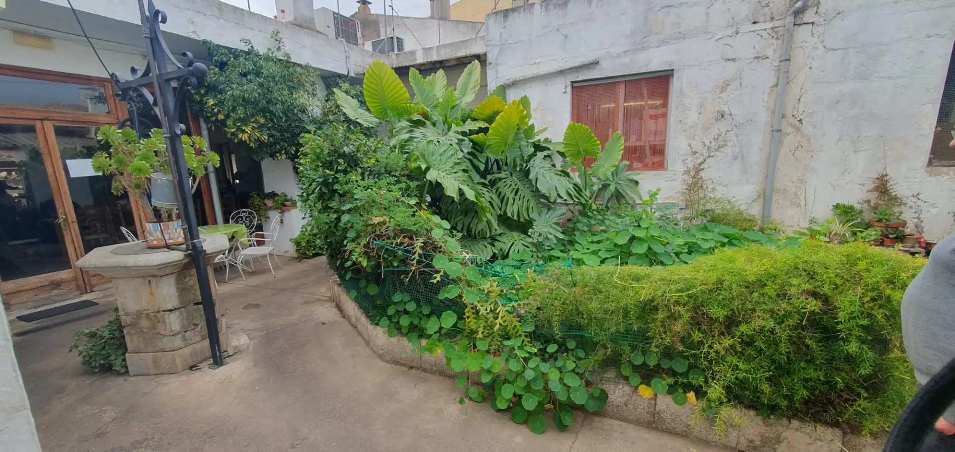 Local comercial en traspaso en Binissalem, imagen 3