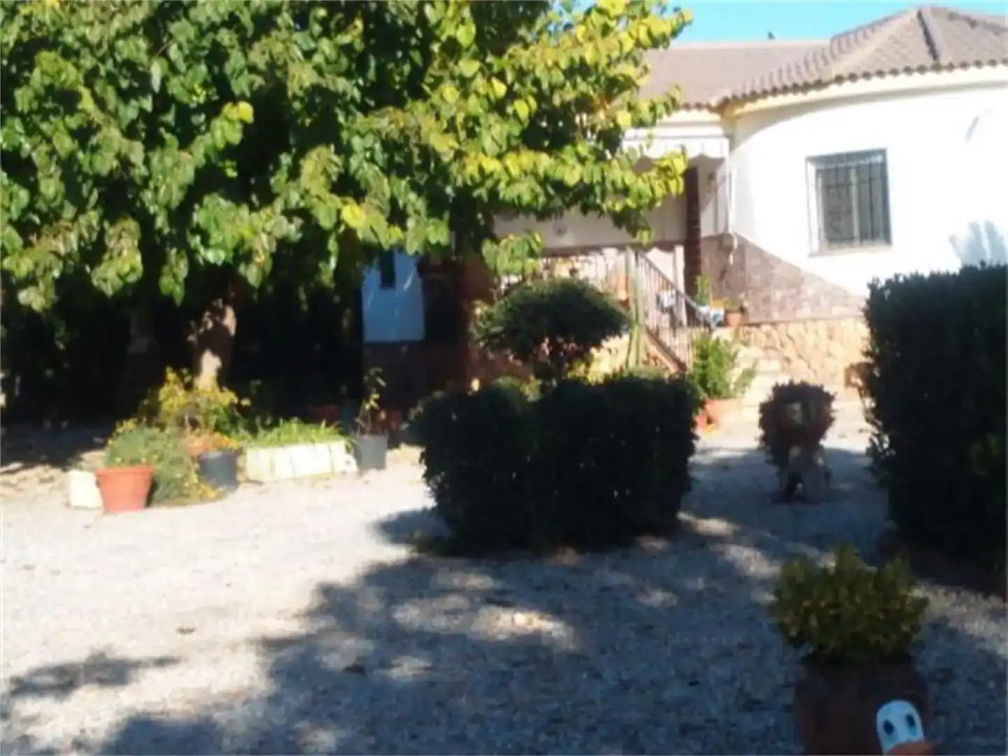 Jardí de Finca rústica en venda en Guadix amb Aire condicionat, Jardí privat i Piscina