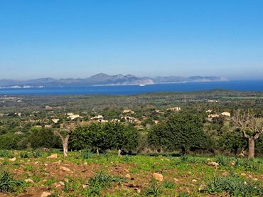 Casa rustica in vendita a Sant Llorenç des Cardassar