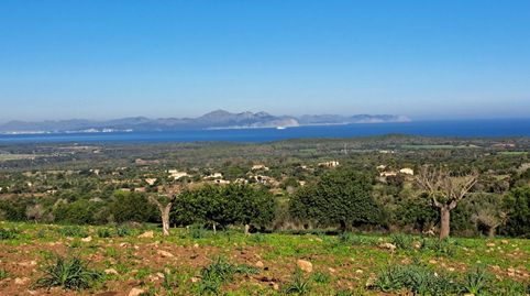 Ubicación sensacional dentro de una zona natural prácticamente virgen que ofrece vistas infinitas de la bahía de Alcudia, Formento