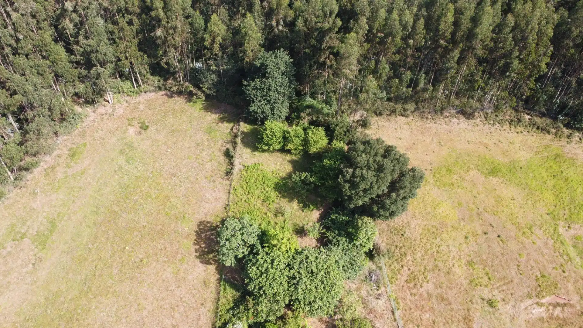 Casa o xalet en venda en Gijón  amb Calefacció, Jardí privat i Terrassa