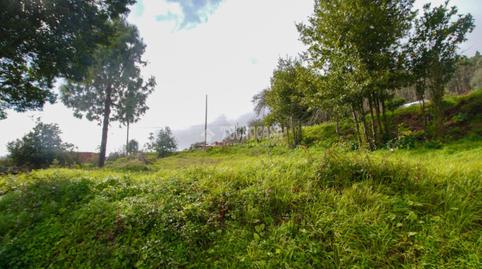 Photo 2 of Land for sale in La Esperanza - Llano del Moro, El Rosario