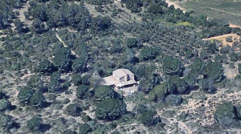 PARCELA CON CASA DE CAMPO.