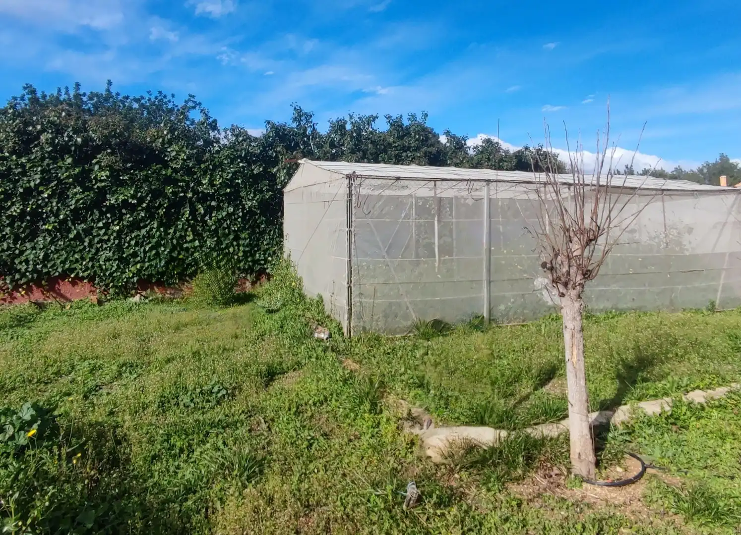 Finca rústica en venda en Montserrat amb Calefacció, Terrassa i Piscina