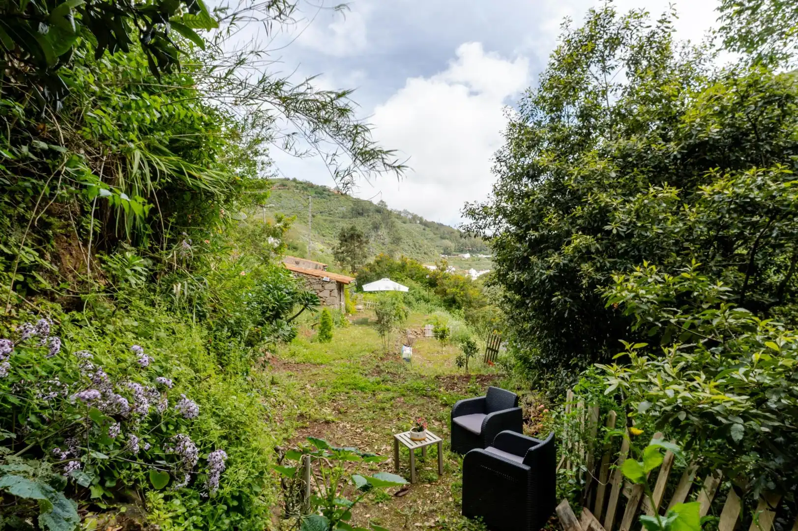 Garden of Land for sale in Teror