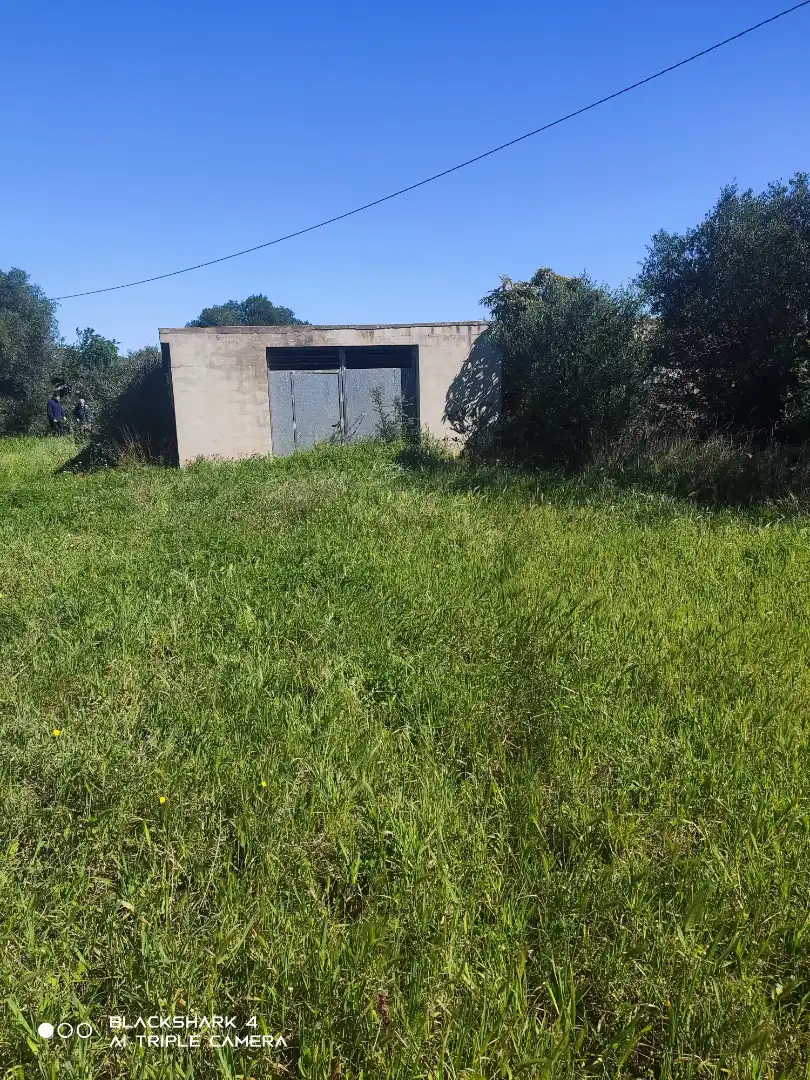 Rural land for sale in Alcossebre, imagen 4