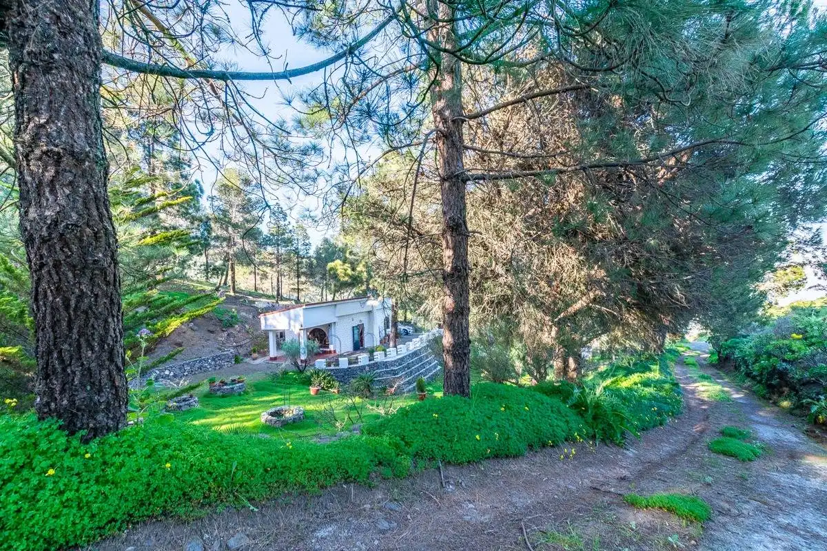 Jardí de Casa o xalet en venda en Telde amb Jardí privat