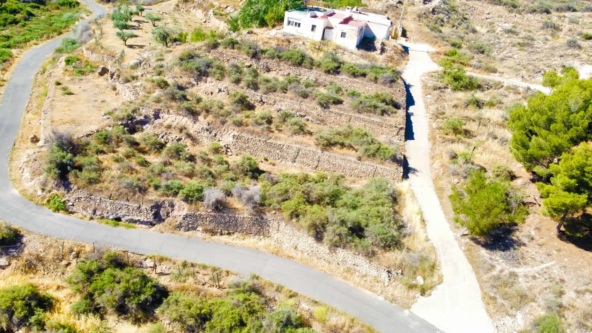 Terreny rústic en venda a Alhama de Almería 12, imagen 3