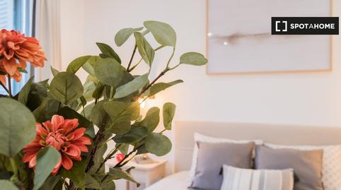 Foto 5 de Estudi per a compartir a Universidad - Malasaña, Madrid