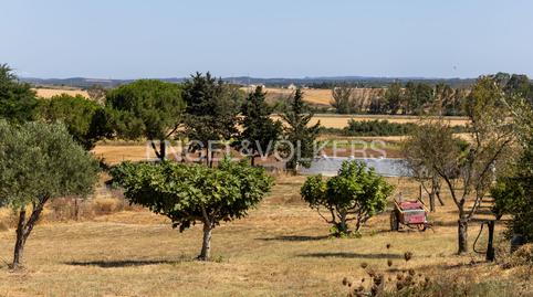 Photo 4 of House or chalet for sale in Los Franceses – La Vega, Chiclana de la Frontera