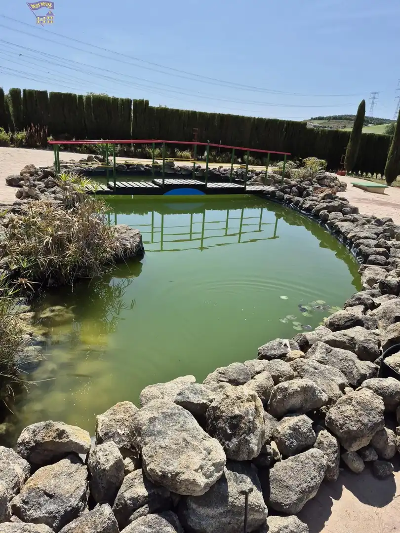 Casa rústica amb jardí en venda a Arcos de la Frontera, imagen 57