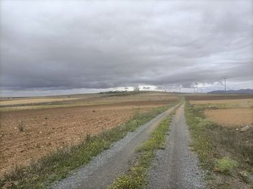 Terreny rústic en venda a Almonacid de Toledo