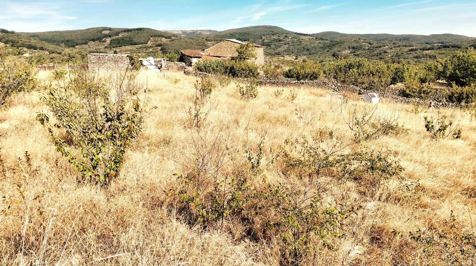 Terrain rustique à vendre à Avenida Extremadura 72, imagen 6