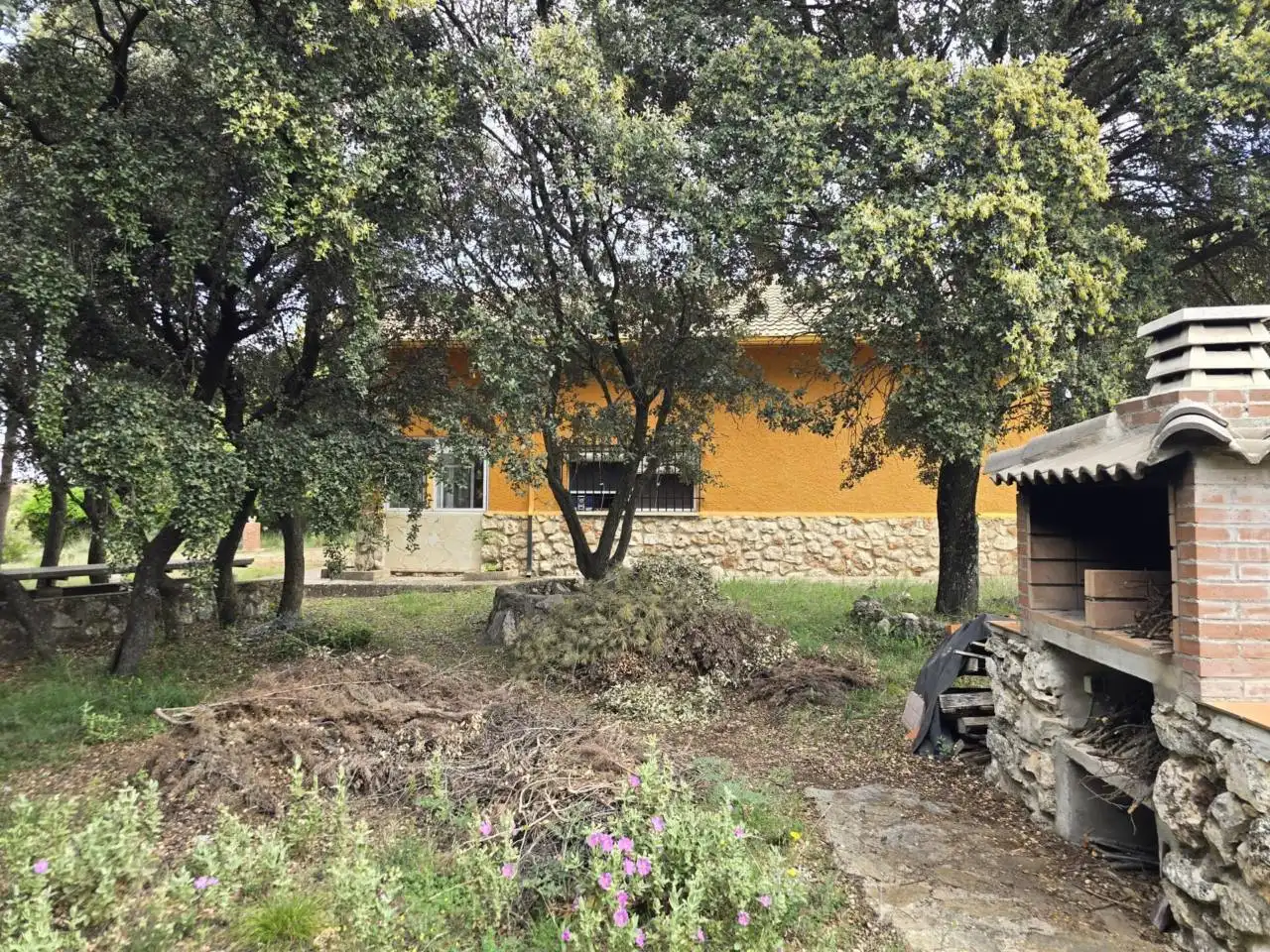 Vista exterior de Casa o chalet en venta en Pioz con Calefacción, Jardín privado y Terraza